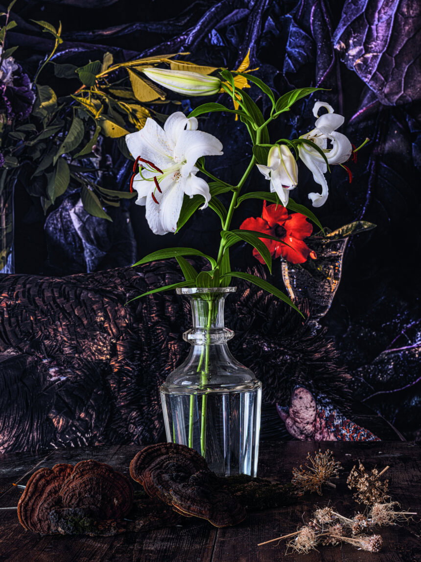 @ Vera Mercer, still photo, Lily, 2022