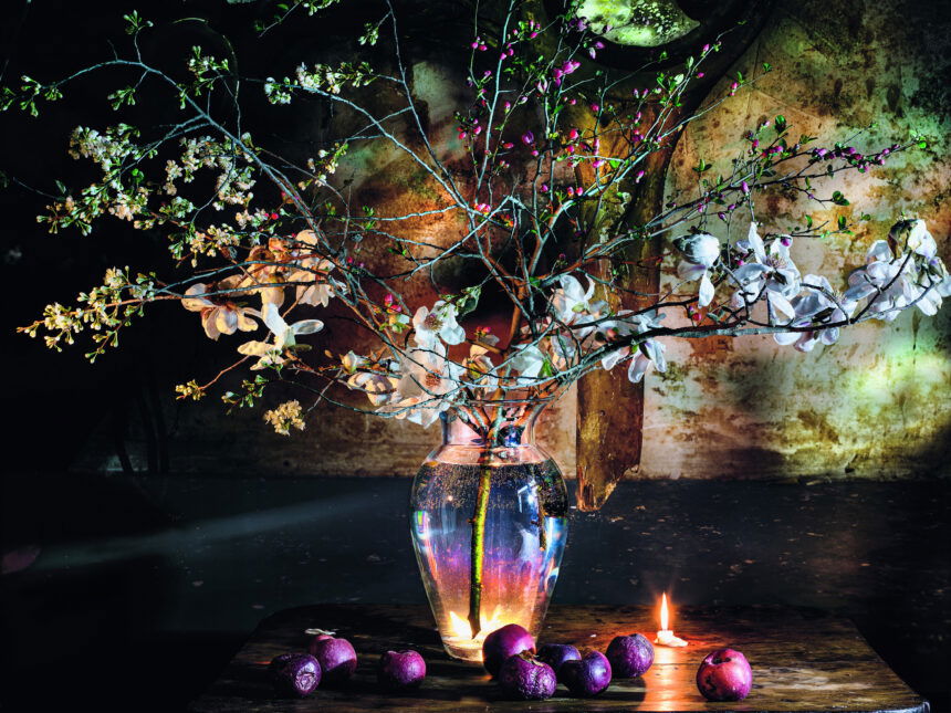 @ Vera Mercer, still photo Magnolia, 2015.