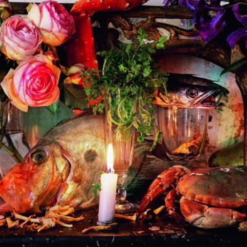 I Love What I Do, Then and Now: Life in Focus with Vera Mercer @ Vera Mercer