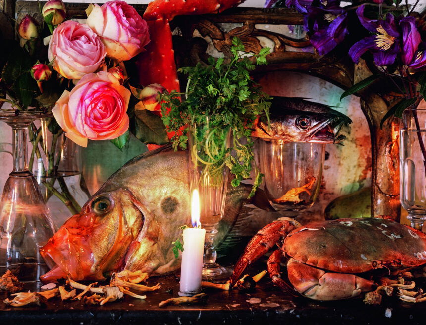 I Love What I Do, Then and Now: Life in Focus with Vera Mercer @ Vera Mercer