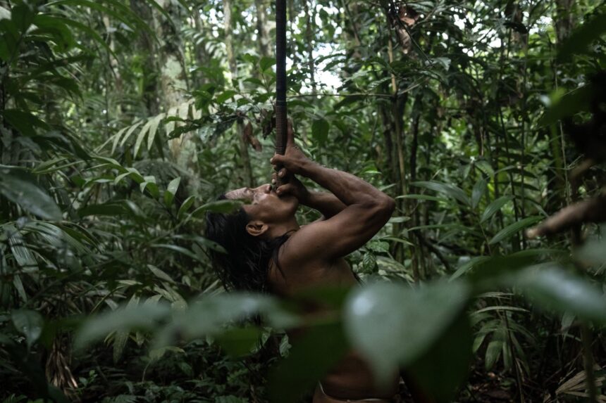 Penti Baihua, the Waorani community leader, hunting with a traditional weapon in the dense Amazon rainforest.
