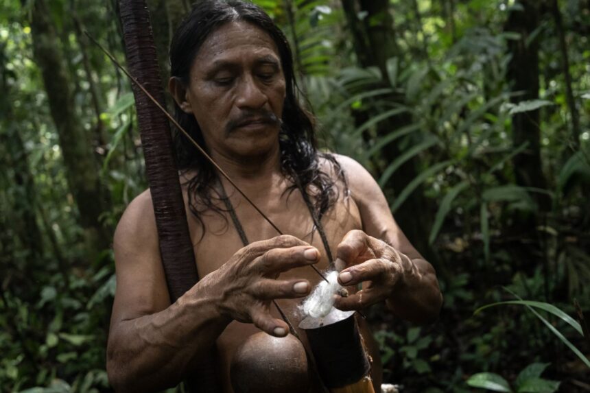 Penti Baihua, the Waorani community leader, preparing his traditional hunting weapon in the Amazon rainforest.