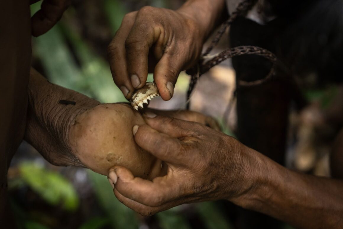  A Waorani community member using dried piranha teeth to remove something from another's foot during a hunt in the Amazon.