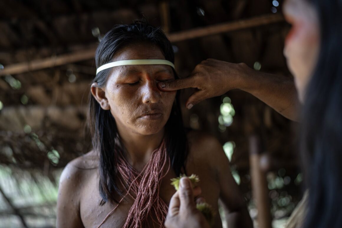 A Waorani community member has their face painted with traditional designs, surrounded by others in natural fiber clothing and ornaments in the Amazon.