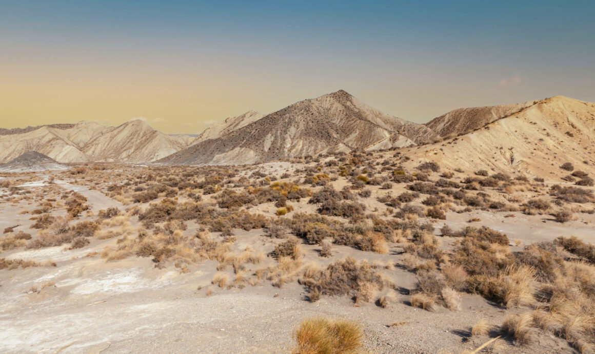 IMAGO / Alice Dias Didszoleit