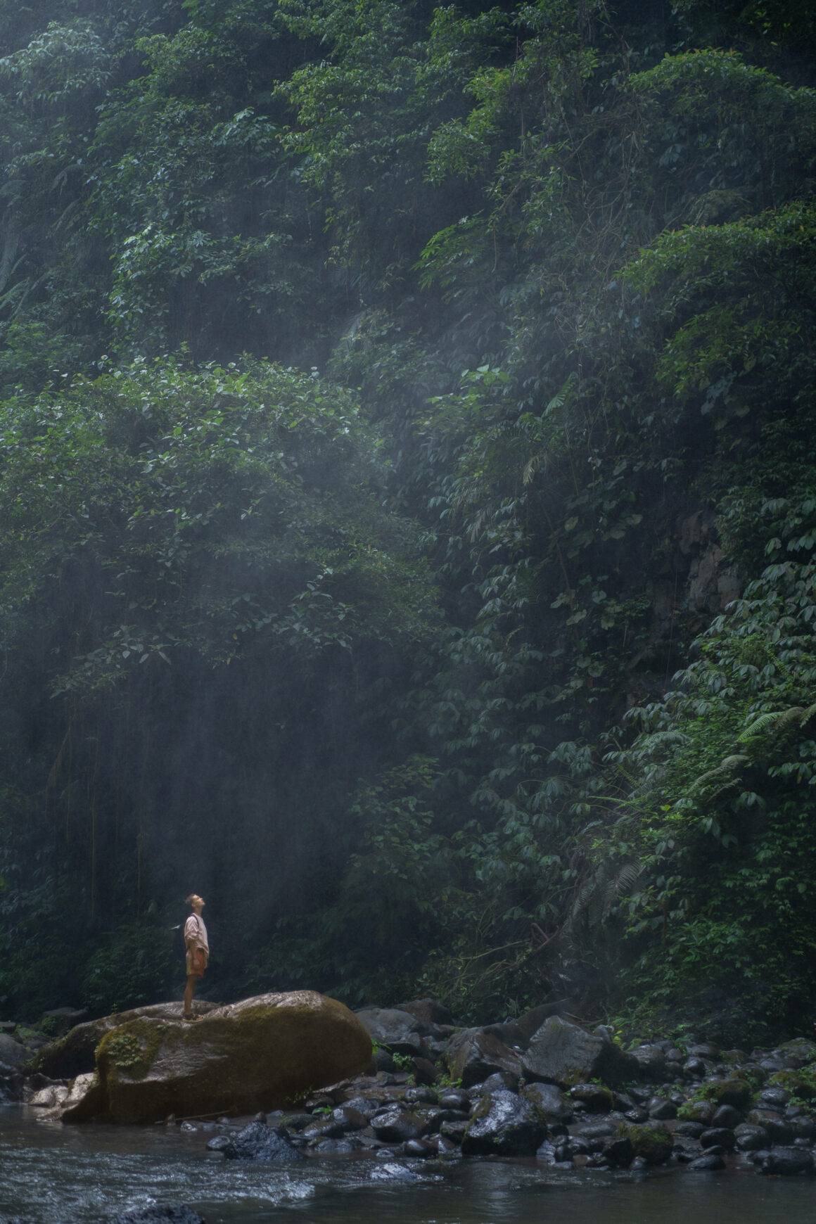 IMAGO / Cavan Images | Woman traveler stands on a rock in the jungle, gazing at a majestic waterfall in Ubud, Bali, Indonesia. September 2, 2024.