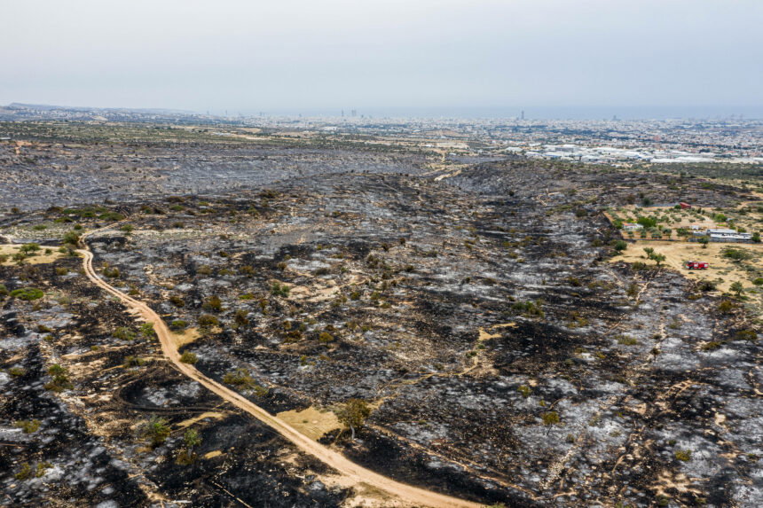Limassol after a wildfire