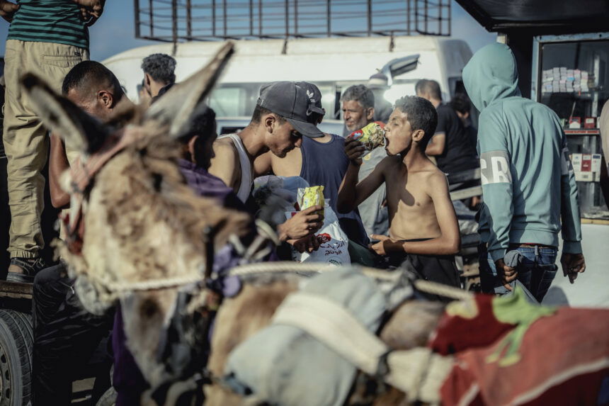 Desperation Grows At Gaza Food Distribution