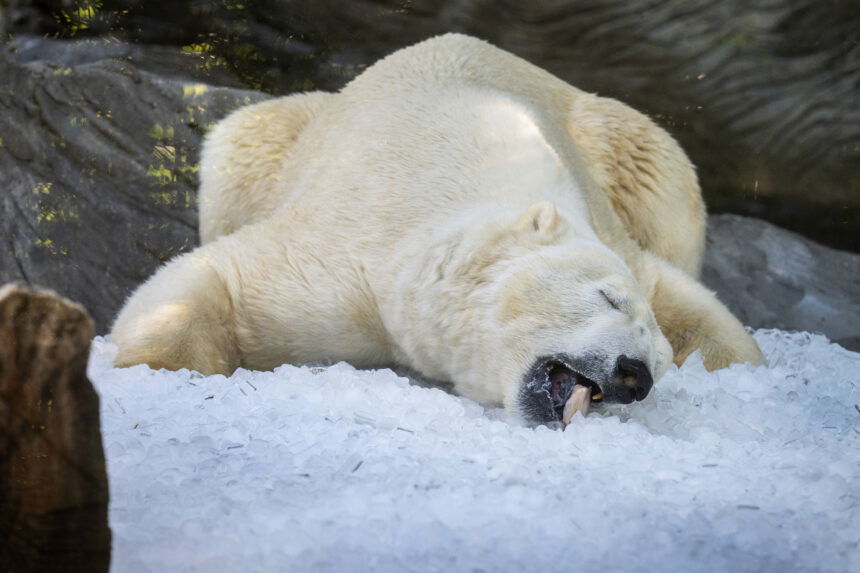 Best Editorial Photos of July 2025: An IMAGO Selection by The Game Magazine Best Editorial Photos