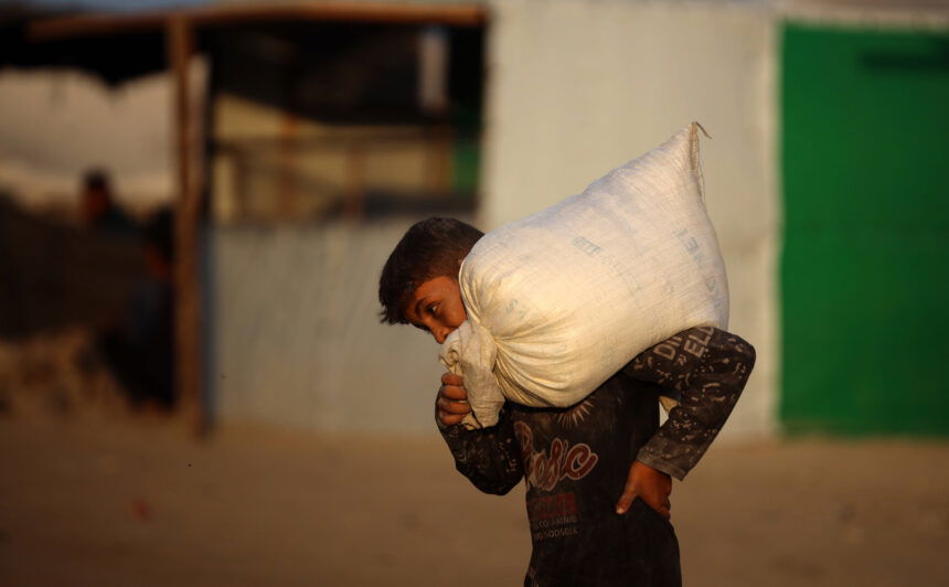 photos of Food Distribution in Gaza