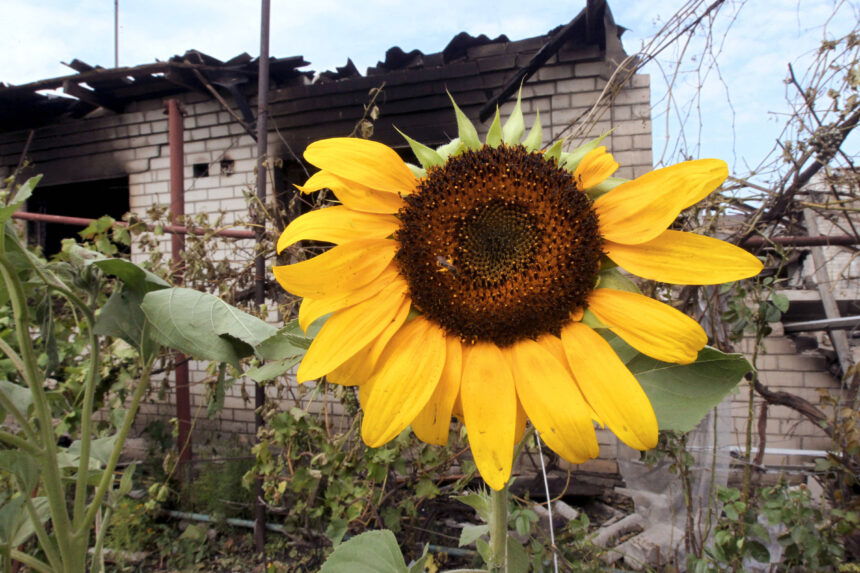 Best Editorial Photos of August 2025