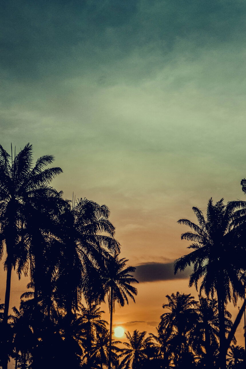 AI dataset and photography