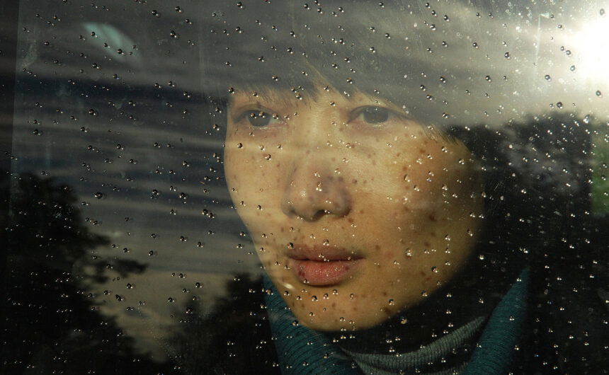 Andrea Segre Shun Li and the Poet 2011