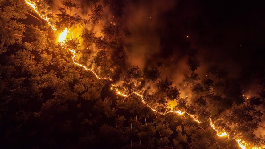 Best Editorial News Photo of July